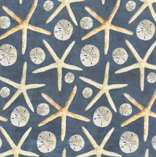 Studio E Fabrics A Drop in the Ocean Cathy Walters Slate Dollars and Stars fabric, featuring starfish and dollar-shaped sand dollars on a blue background.