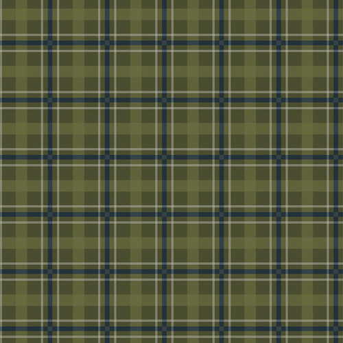 Riley Blake Fabrics Designer Flannel Cretaceous Plaid Forest