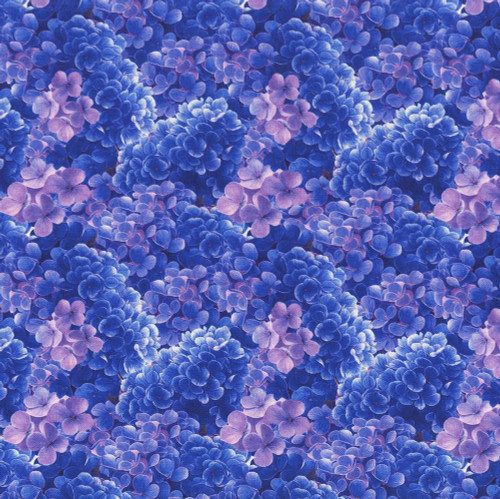Blank Quilting Fabrics Florinda Francesco Moretti Hydrangea Violet, floral pattern of vibrant purple and violet hydrangea flowers.