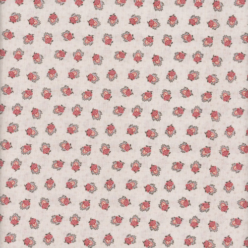 Riley Blake Fabrics Northanger Abbey Jane Austen Frederick Cream