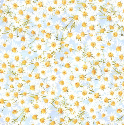 In The Beginning Fabrics Hill Country Wildflowers White Yellow Daisies, floral fabric pattern with white daisies and yellow flower centers on a light background.