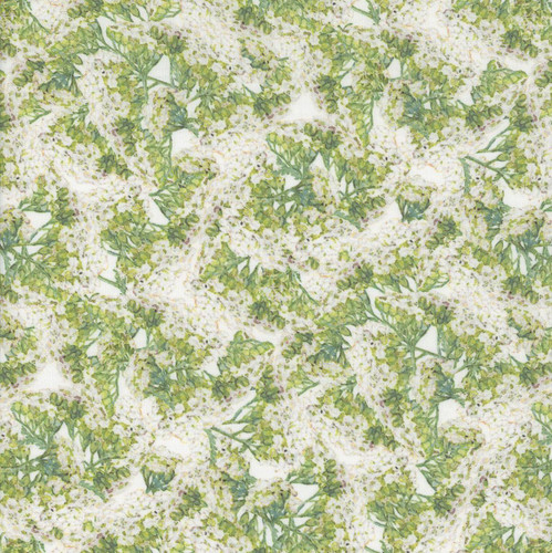 In The Beginning Fabrics Hill Country Wildflowers White Green Yarrow, floral fabric pattern with white and green wildflowers and yarrow leaves.