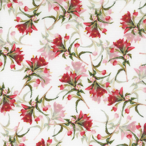 In The Beginning Fabrics Hill Country Wildflowers Red Green Indian Paintbrush, floral fabric with red and pink wildflowers and green leaves on a white background.