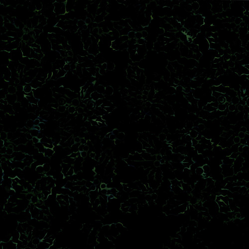 Timeless Treasures Fabrics Tonga Batiks Poinsettia Holly & Mistletoe Spruce Green