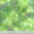 Windham Fabrics Violeta Whistler Studios Spring Green Speckle