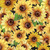 Wilmington Prints Fabrics Sunshine Whispers 108 Inch Wide Quilt Backing Sunflowers Black Yellow, a fabric design featuring a vibrant pattern of sunflowers with green leaves on a black background.