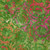Lumin Fabrics Island Batik Posy Twist Batiks Large Floral Green Apple, vibrant floral batik fabric with large pink and green flowers and leaves.