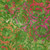 Lumin Fabrics Island Batik Posy Twist Batiks Large Floral Green Apple
