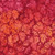 Lumin Fabrics Island Batik Posy Twist Batiks Condensed Leaves Red Mulberry, vibrant fabric with a red and orange leaf pattern design.
