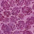 Lumin Fabrics Island Batik Rosy Bloom Batiks Hollyhock Pink Petunia, purple floral batik fabric with a vibrant rose pattern.