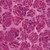 Lumin Fabrics Island Batik Rosy Bloom Batiks Hollyhock Red Salmon