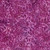 Lumin Fabrics Island Batik Rosy Bloom Batiks Large Dahlias Pink Rosewood