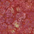 Lumin Fabrics Island Batik Everbloom Batiks Hollyhock Red Brick