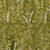 Lumin Fabrics Island Batik Meadow Brook Batiks Meadow Green Sage, fabric with a botanical pattern of light yellow and white leafy branches on an olive green background.