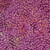 Lumin Fabrics Island Batik Posy Twist Batiks Small Petals Purple Jelly, a vibrant fabric with a purple background and small, twisting petal pattern in pink, orange, and pale green hues.