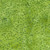 Lumin Fabrics Island Batik Posy Twist Batiks Small Petals Green Lemon Lime, a green batik fabric with a small petal pattern in various shades of green.