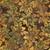 Lumin Fabrics Island Batik Woodland Warmth Batiks Leaves and Berry Clusters Brown Jute