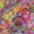 In The Beginning Fabrics Celtic Garden Purple Red Yellow Thistle Tree Emblems