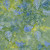Timeless Treasures Fabrics Radiant Meadow Tonga Batiks Wing and a Prayer Fancy Tropical Floral Pond