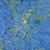 Timeless Treasures Fabrics Radiant Meadow Tonga Batiks Wing and a Prayer Gilded Scroll Dawn