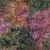 Timeless Treasures Fabrics Geranium Pink Tonga Batiks Floral Meadow Green