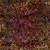 Timeless Treasures Fabrics Cabo Tonga Batiks Floral Coffee Brown