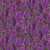 Timeless Treasures Fabrics Heather and Hyland Lavender Field Purple, vibrant purple lavender flowers densely covering the fabric with green leaves interspersed.