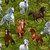 Timeless Treasures Fabrics Wild Mane Running Wild Horses Multi