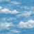 Timeless Treasures Fabrics Wild Mane Blue Sky Blue