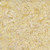 Timeless Treasures Fabrics Cabo Tonga Batiks Aquatic Floral Sand Cream