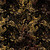 Timeless Treasures Fabrics Cabo Tonga Batiks Acanthus Leaves Driftwood Cream