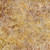Timeless Treasures Fabrics Cabo Tonga Batiks Lotus Floral Camel Brown Cream