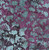 Timeless Treasures Fabrics Misty Beaches Tonga Batiks Shadowy Leaves Plum Purple