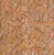 Timeless Treasures Fabrics Painted Canyon Tonga Batiks Flower'S Garden Sand Brown Cream, floral fabric design with earthy tones and subtle pastel accents.