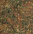 Timeless Treasures Fabrics Painted Canyon Tonga Batiks Packed Flowers Moss Green, fabric with botanical floral pattern in moss green and earth tones