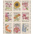 Moda Fabrics My Secret Garden Stacy Iest Hsu Vintage Seed Packet Panel 36 Inch Cream Pink Blue