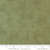 Moda Fabrics 3 Sisters Solid Texture Mottle Texture Eucalyptus Light Green