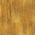 Windham Fabrics Terrain Honey
