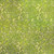 In The Beginning Fabrics Free As a Bird Jason Yenter Apple Green Flower Petal Eruption