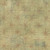 Moda BasicGrey Grunge Seeing Stars Tan