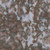 Timeless Treasures Fabrics Tonga Batiks Truffle Charcoal Grey Clouds