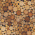 Windham Fabrics Landscapes 2020 Wood Eye Multi