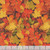 Windham Fabrics Landscapes 2020 Autumn Splendor Multi