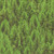 Windham Fabrics Landscapes 2020 Evergreen Multi