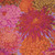 Free Spirit Fabrics Kaffe Fassett Classics 2014 Pink Japanese Chrysanthemum by Philip Jacobs