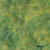 Island Batik Fabrics Foundations Basics Glorious Greens Gecko