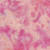 Island Batik Fabrics Foundations Basics Ravishing Reds Salmon
