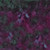 Island Batik Fabrics Foundations Basics Marvelous Multis Concord