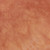 Windham Marcia Derse Palette Texture Burnt Sienna
