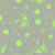 Free Spirit Fabrics True Colors Neon Inks by Tula Pink Fairy Flakes Karma